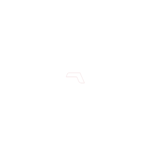 300x300_bali logo