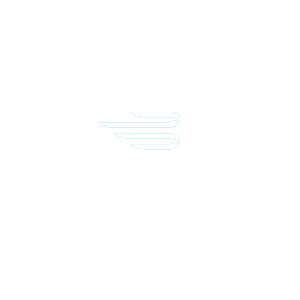 300x300_bayliner logo