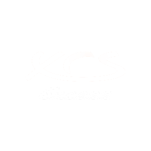 300x300_EXCESS logo