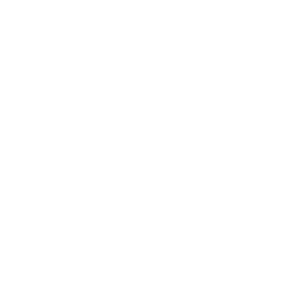 300x300_fyord_min logo
