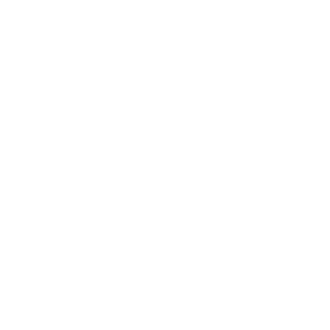300x300_leopard logo