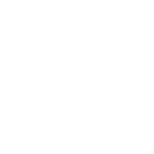300x300_navan logo