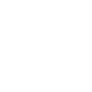 300x300_ranieri_it logo