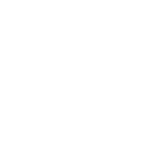 300x300_searay logo
